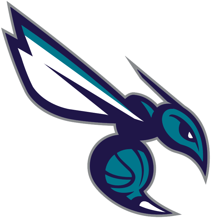 Charlotte Hornets 2014-Pres Alternate Logo iron on transfers for T-shirts version 4